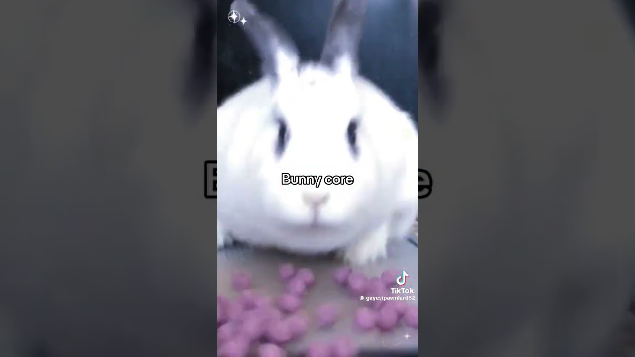 Bunny core
