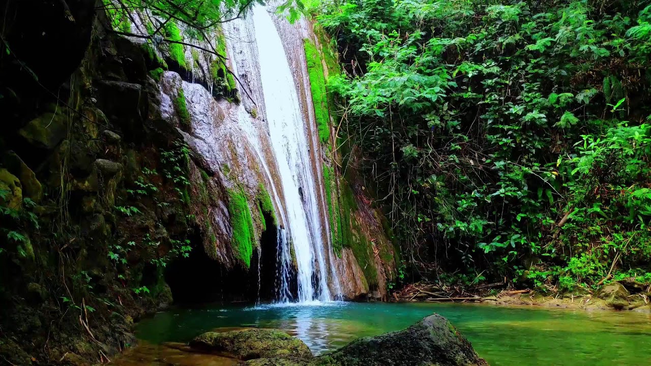 Calming River Water Sounds for Emotional Healing and Peaceful Night Sleep