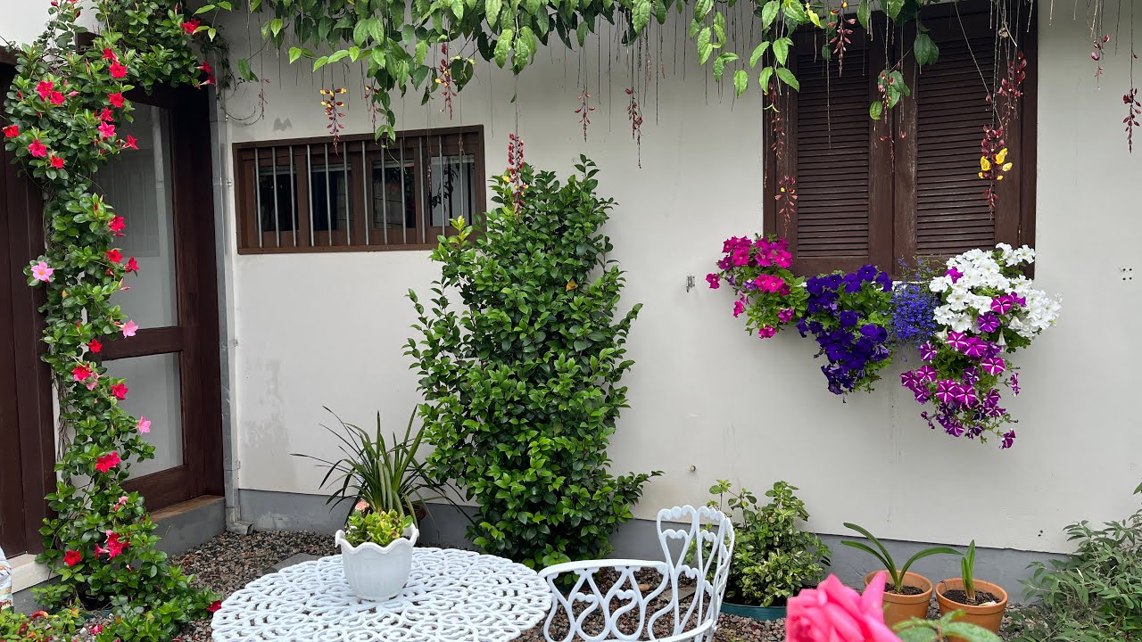 TRANSFORME SEU JARDIM COM UM ARCO DE DIPLADENIA DESLUMBRANTE