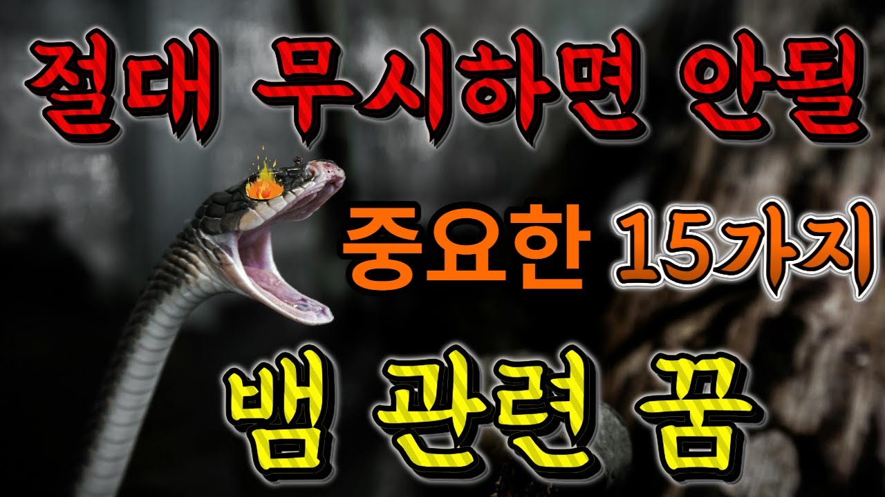 [꿈해몽] 큰 성공이 다가오는 뱀꿈 15가지