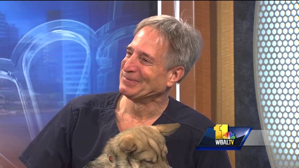 Pet Questions: Auto-immune disease issues