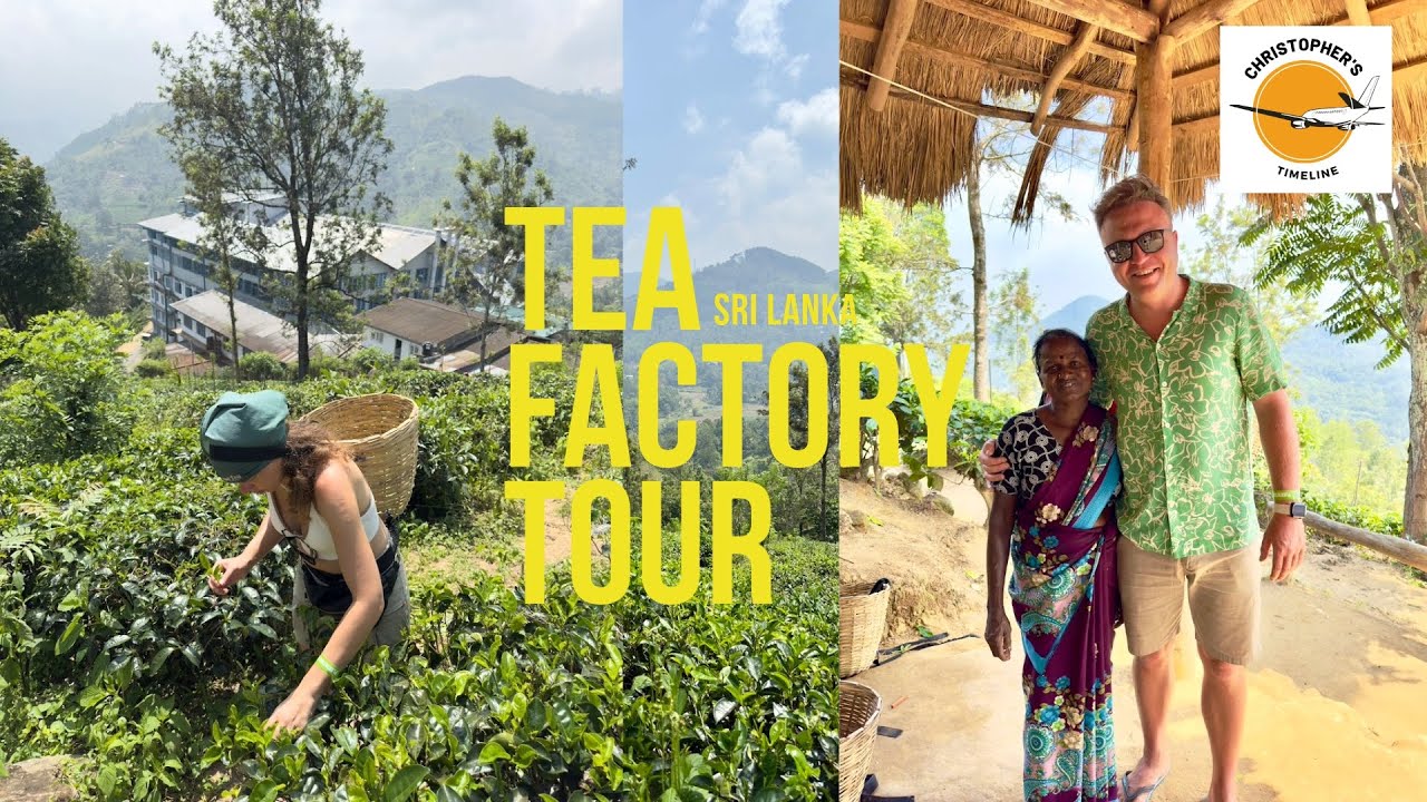 Tea & Temples | Inside a Sri Lankan Tea Factory 🍵 | Uva Halpewatte