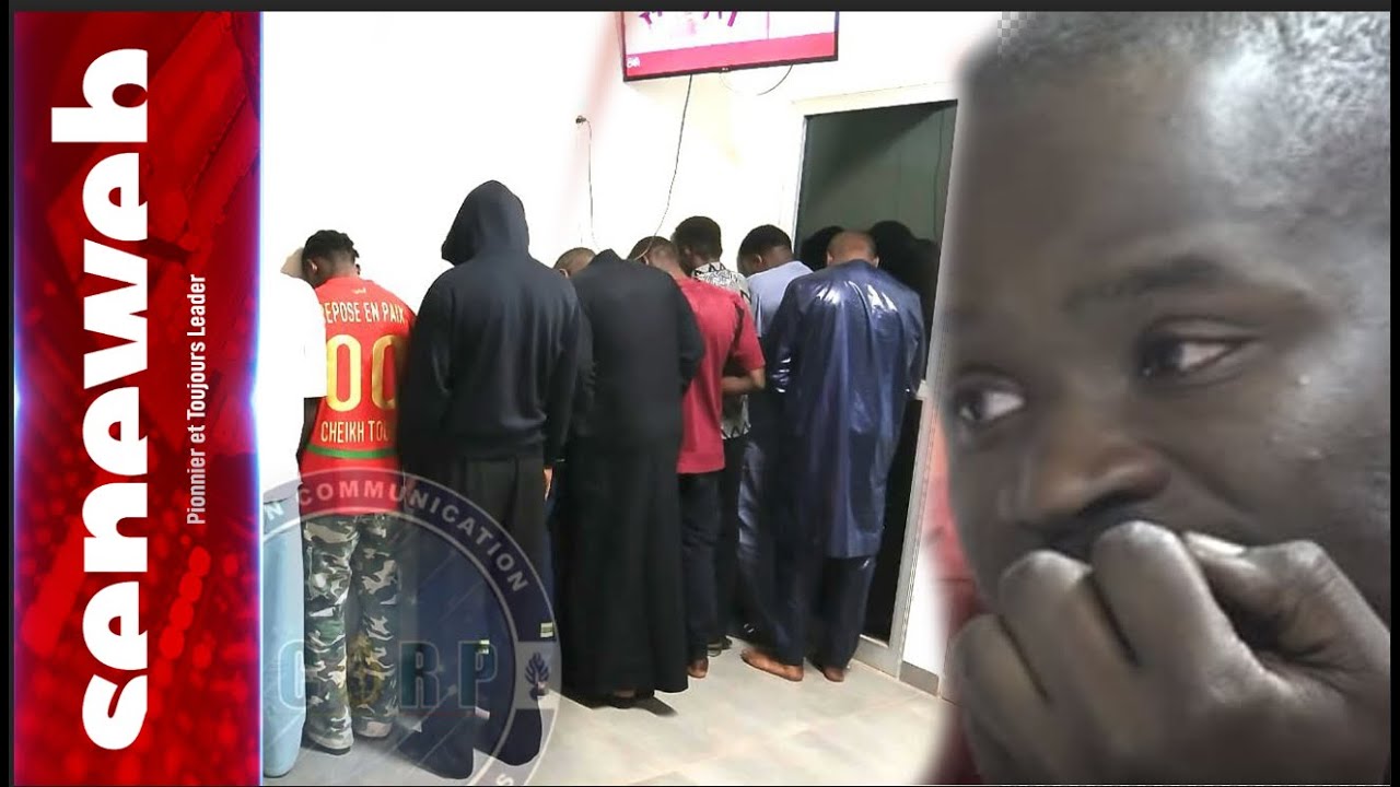 Ce que Pape Cheikh a dit aux enquêteurs