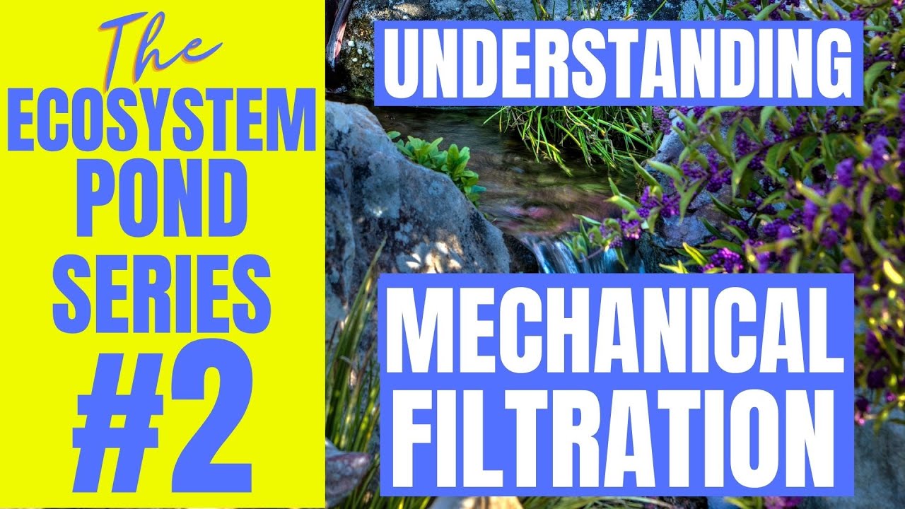 Understanding Pond Mechanical Filtration | Ecosystem Pond Series 2!