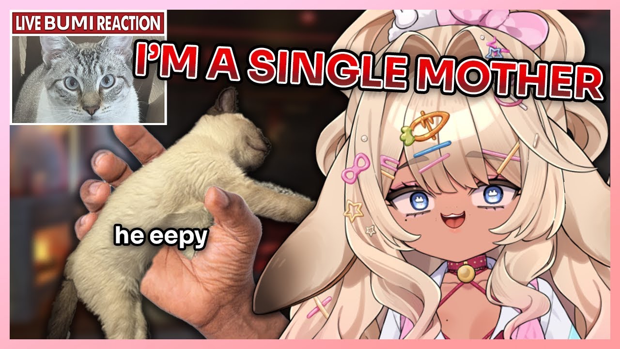 Shibi's New Cat is an ABSOLUTE MENACE 【VAllure Clip】