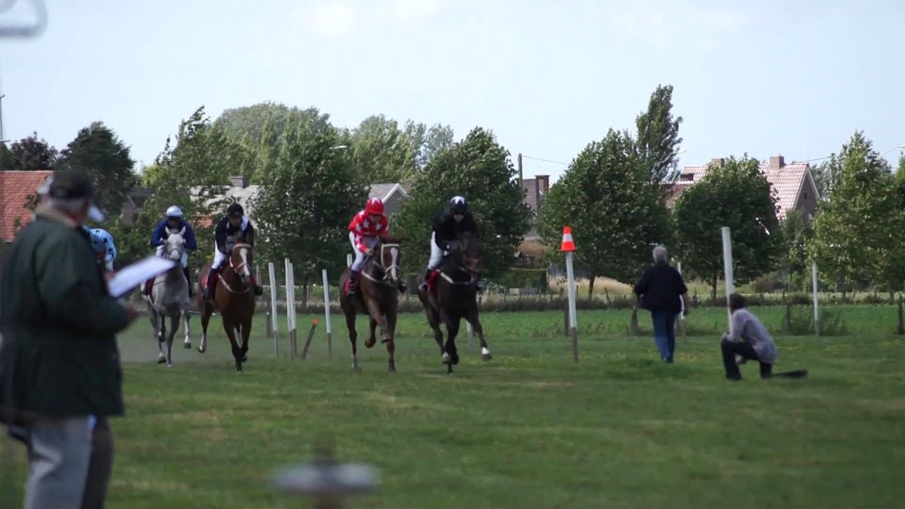 Kruishoutem : Galop