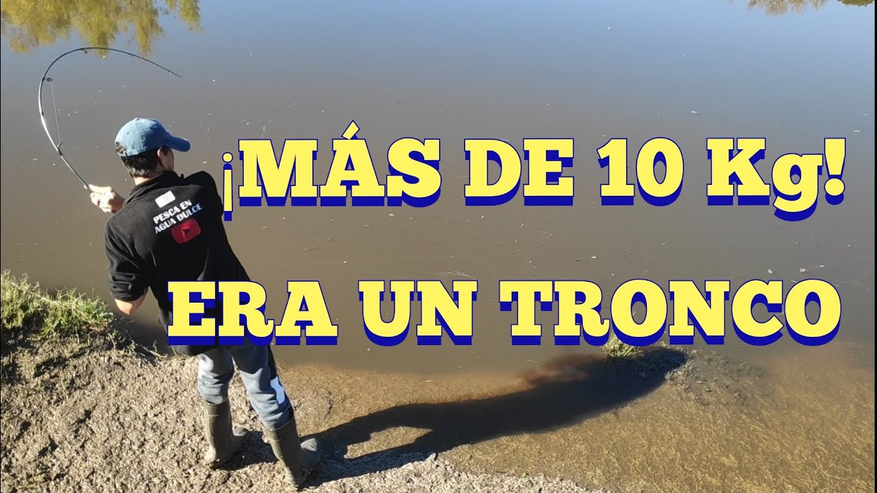 Álvaro rompió su record y linda pesca de amarillos en Paso de la laguna, arroyo Grande