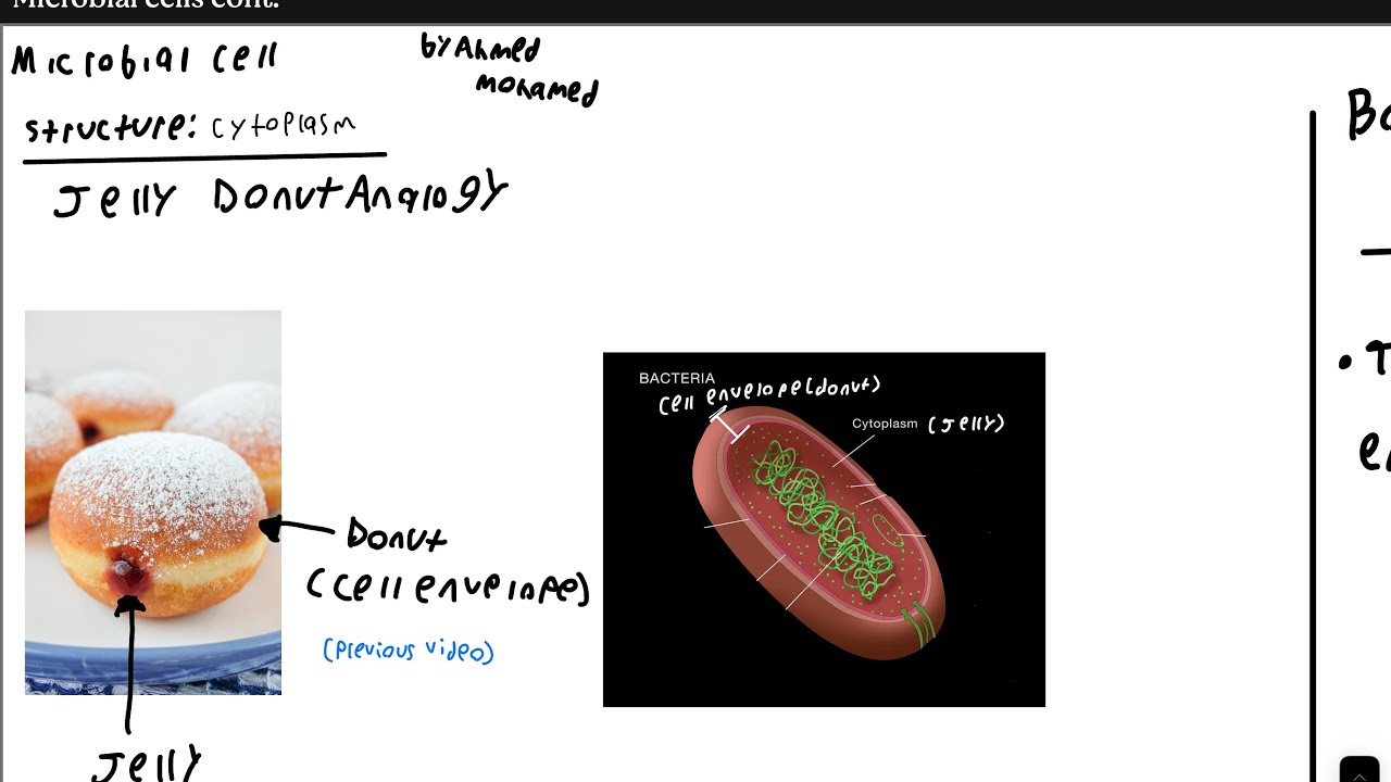 Microbial Cell Structure Pt.2 (Cytoplasm)