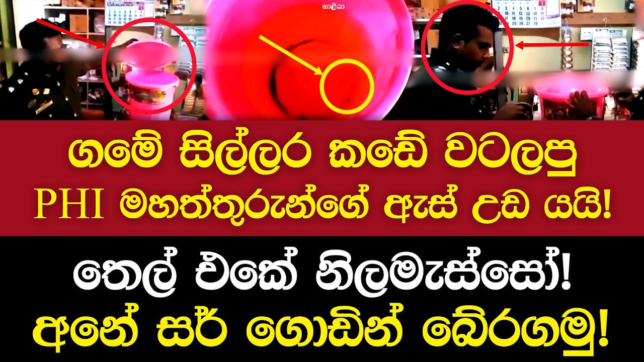 මිනිස්සුන්ට ජරාව කවන මුදලාලිලාට දෙන්න සුදුසු කෑම මොනාද? | හාළියා | Haaliyaa