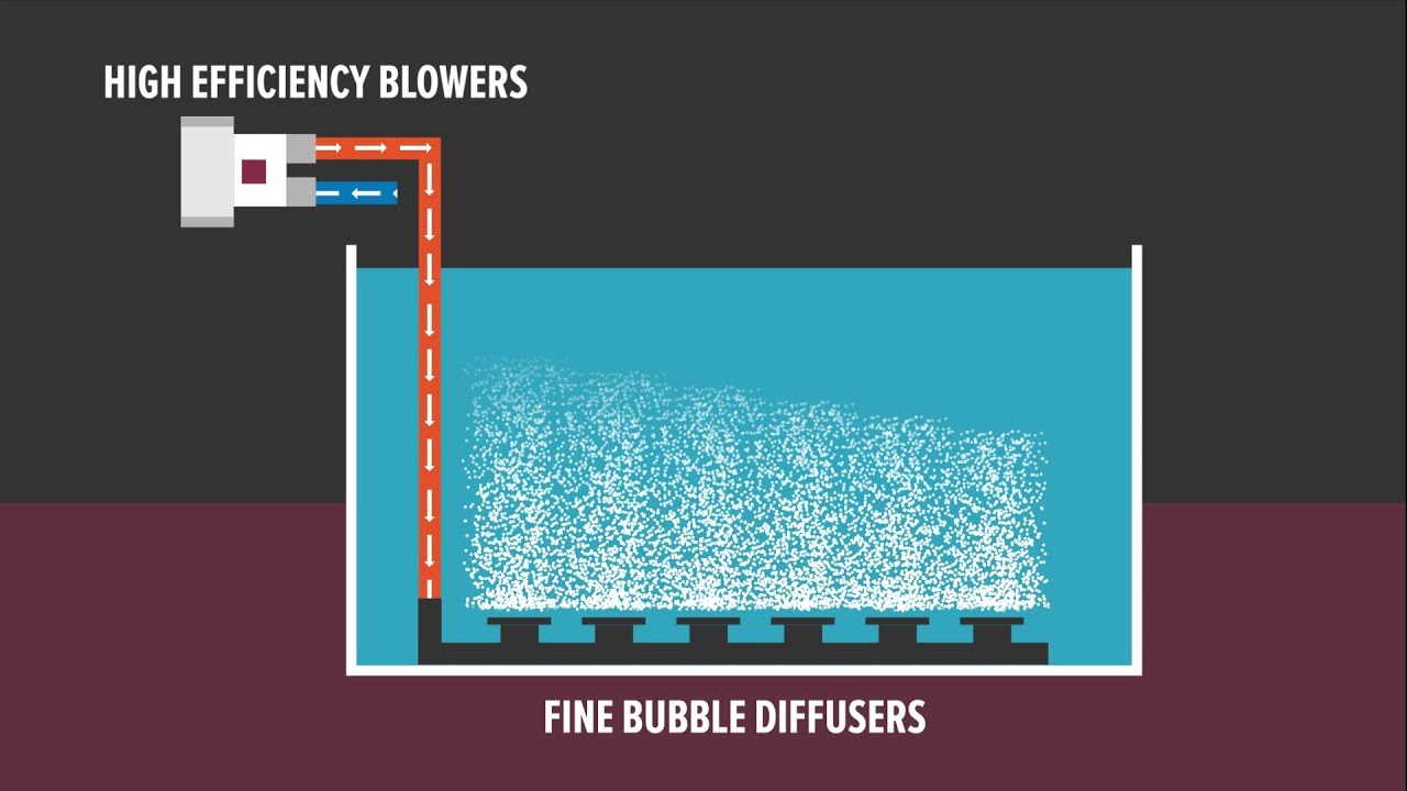 The application of microbubbles for wastewater treatment and more [Subtitled]
