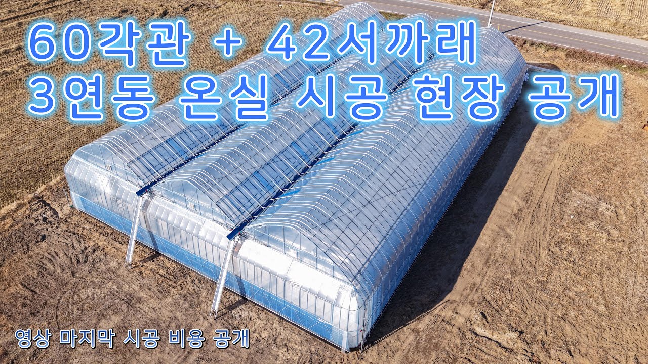 60각 42서까래 3연동 비닐하우스 시공 현장 공개👍 가격도 공개💛