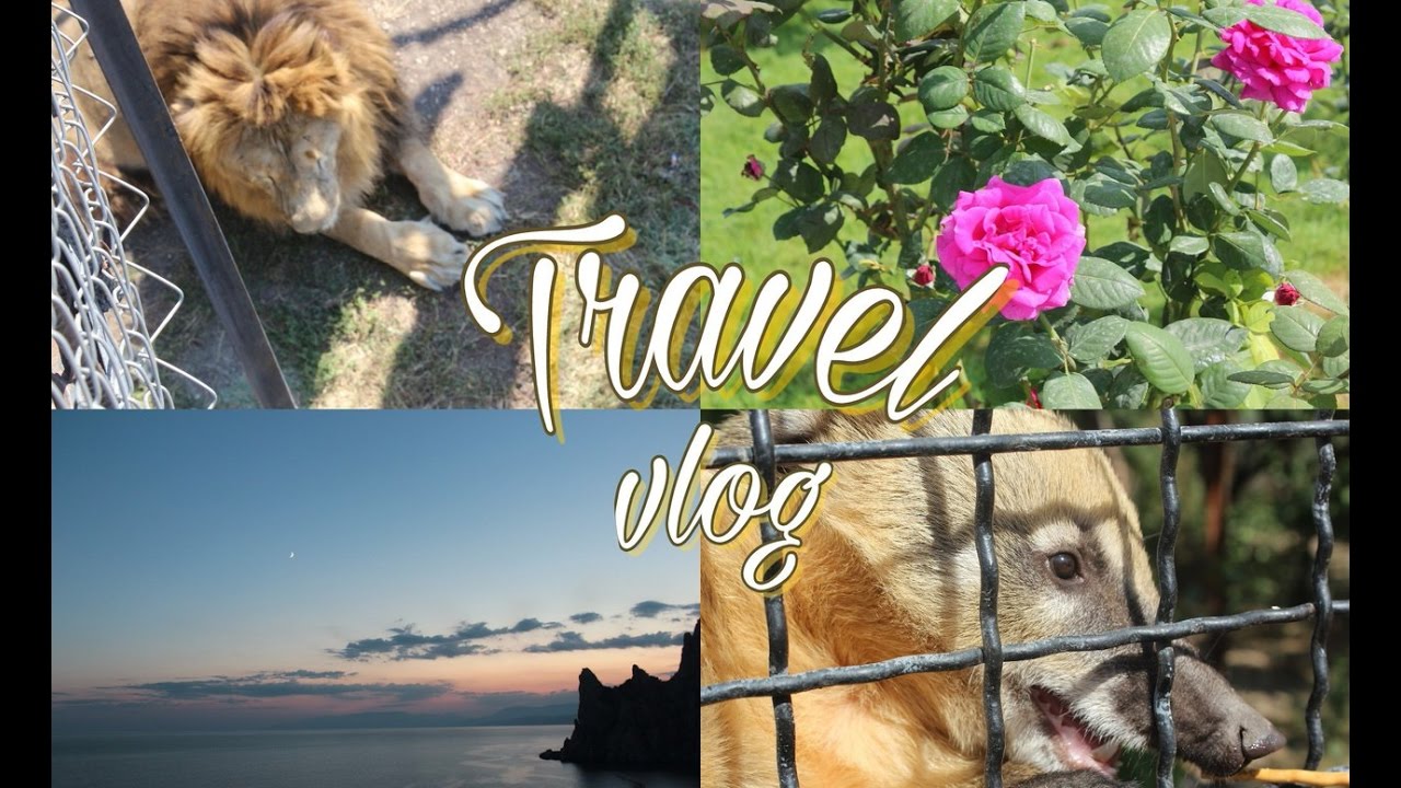 TRAVEL VLOG || Парк ЛЬВОВ 