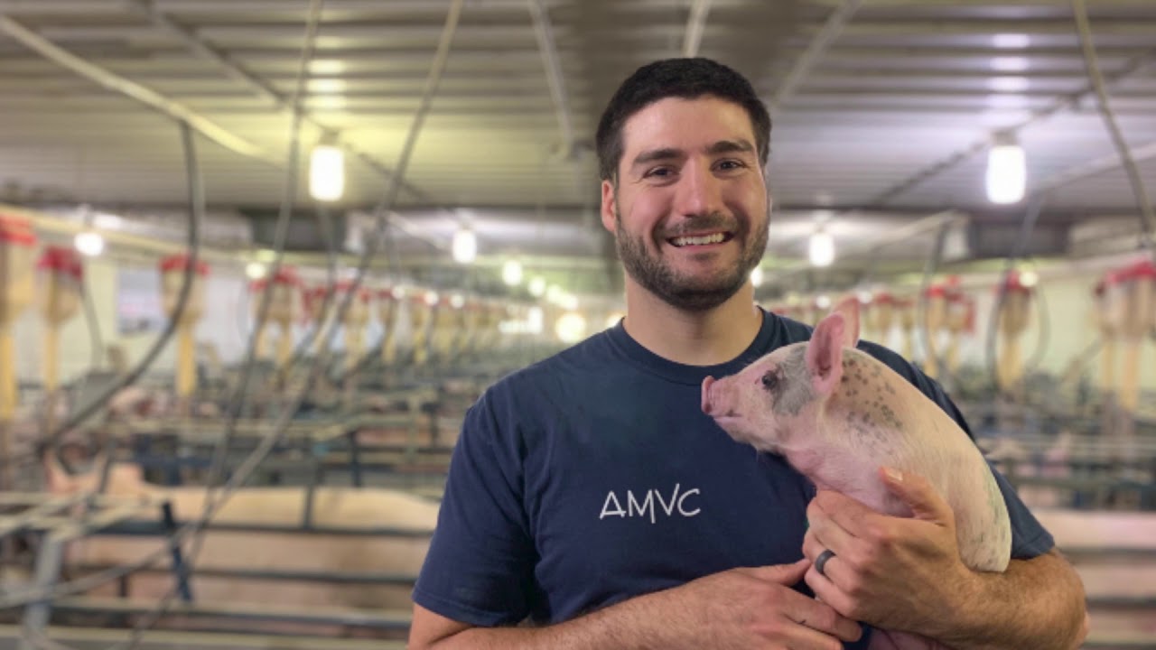 Finding an AMVC Career Close to Home