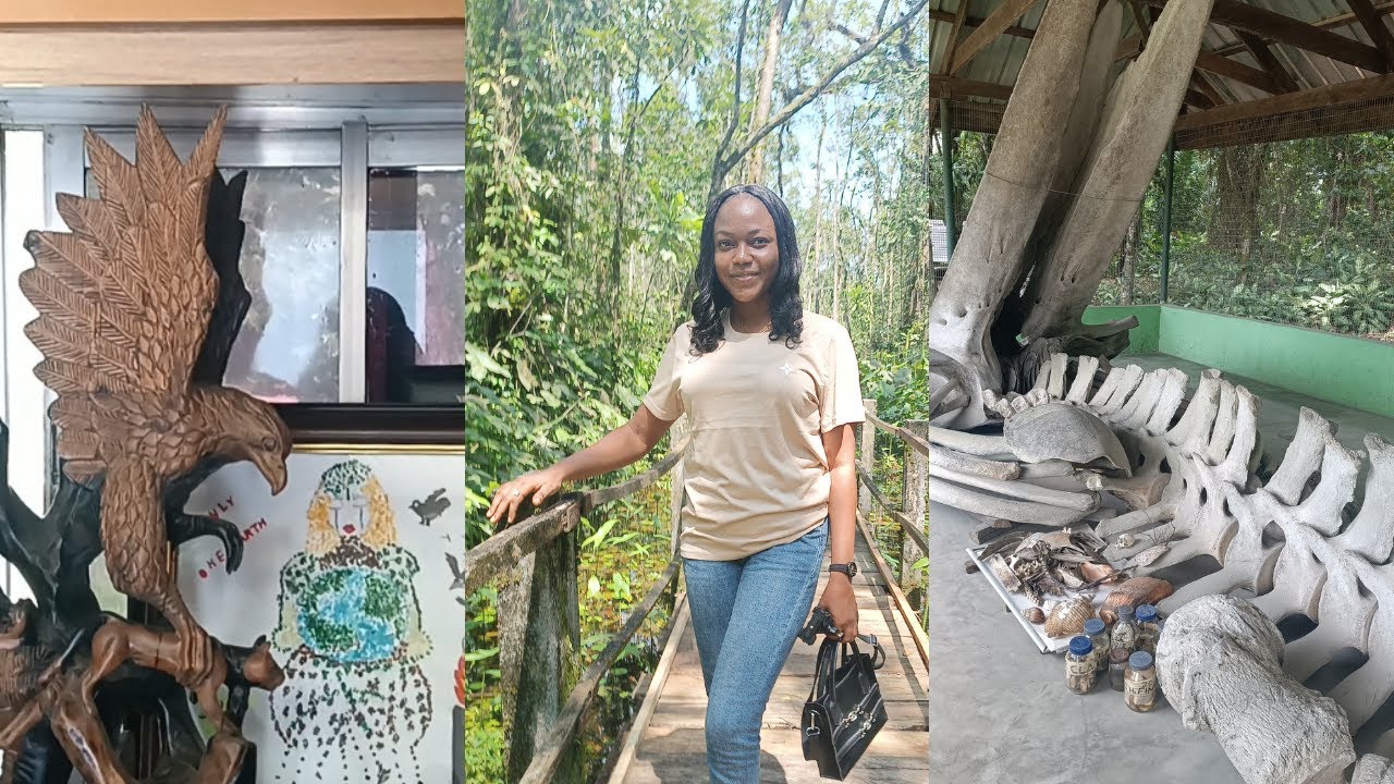 Bonny Vlog #3 | Finima Nature Park | Whale found at Bonny Island in 2014