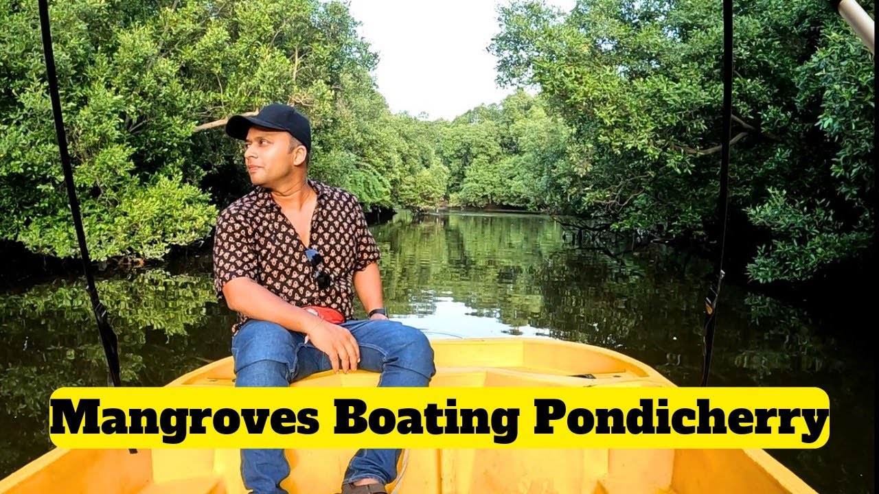 Pondicherry : Mangrove Boating Complete Information | Complete Guide to Explore Pondicherry | Bhavik