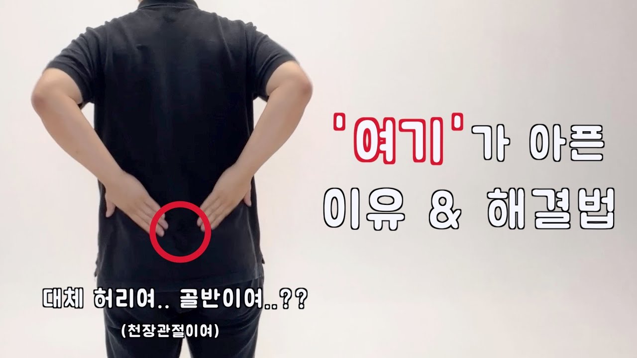 엉치통증? 허리통증? 골반통증? 아무튼 여기가 아픈 이유와 해결법‼️ 천장관절 통증