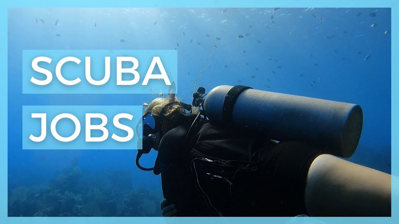 5 SCUBA Jobs that can take you anywhere in the world 🌎 // SCUBA diving careers