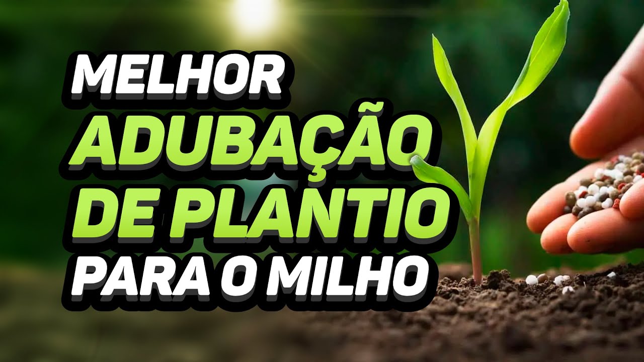 ADUBAÇÃO DE PLANTIO PARA O MILHO