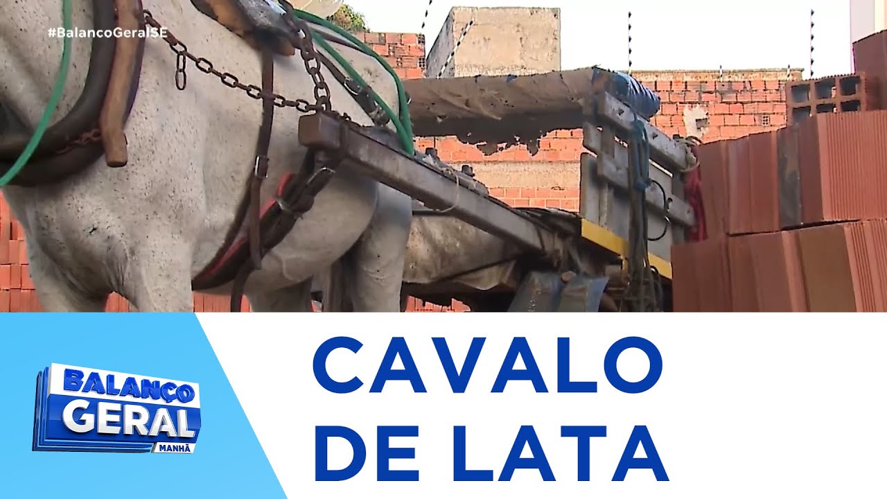 Equipamentos adquiridos para substituir carroças correm risco de virar sucata