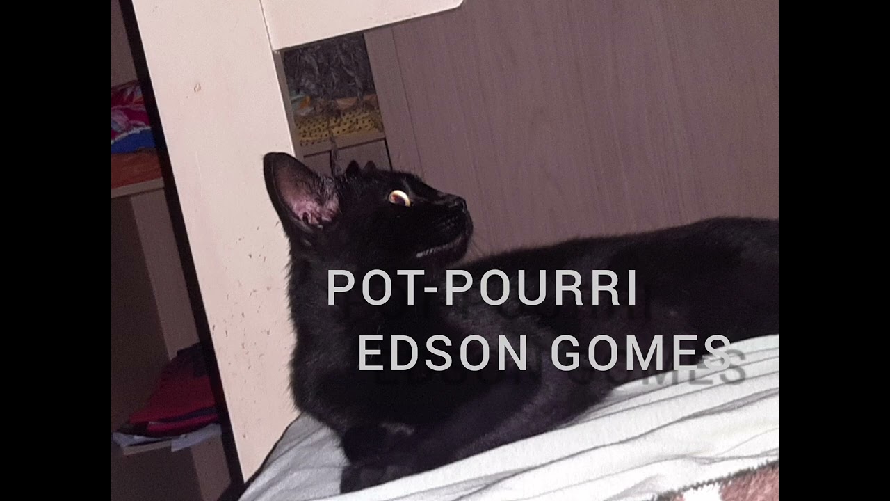 POT - POURRI EDSON GOMES