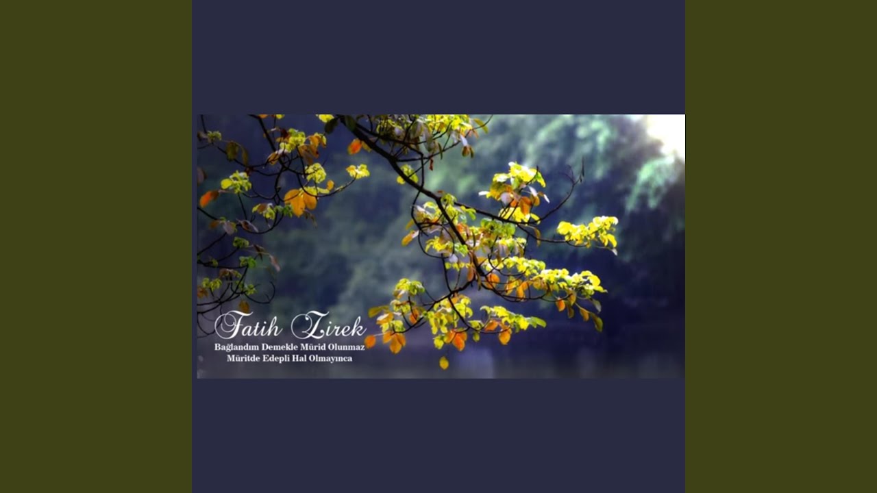 Bağlandım Demekle Mürid Olunmaz Müritde Edepli Hal Olmayınca