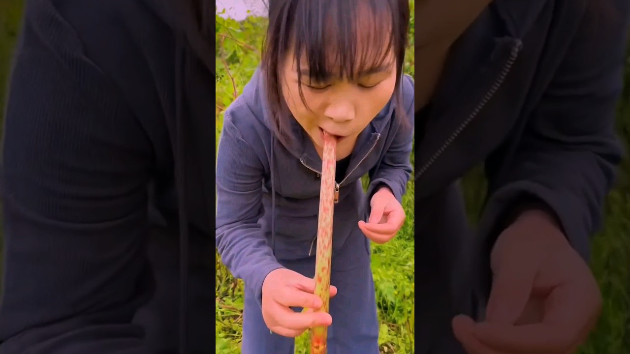 #short #agriculture #agritools#farming2024  #youtubeshorts #satisfying #EliteShortsUnleashed #2195