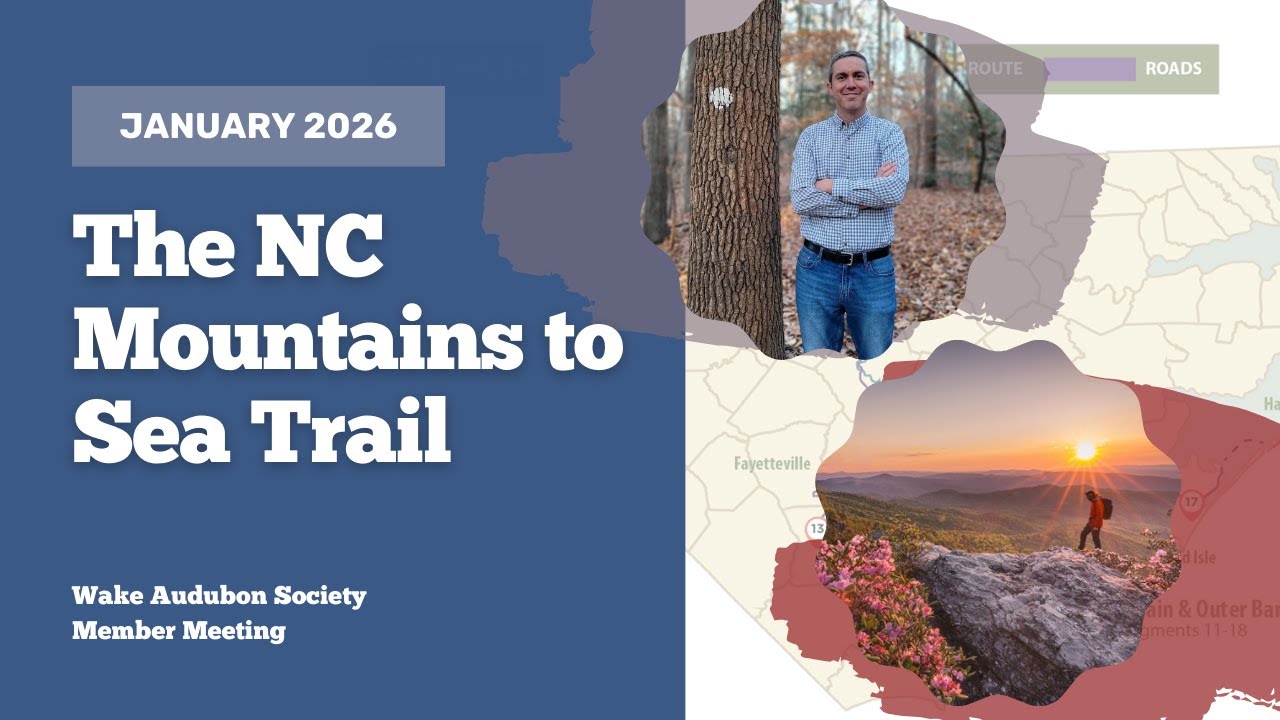 January 2026 Member Meeting