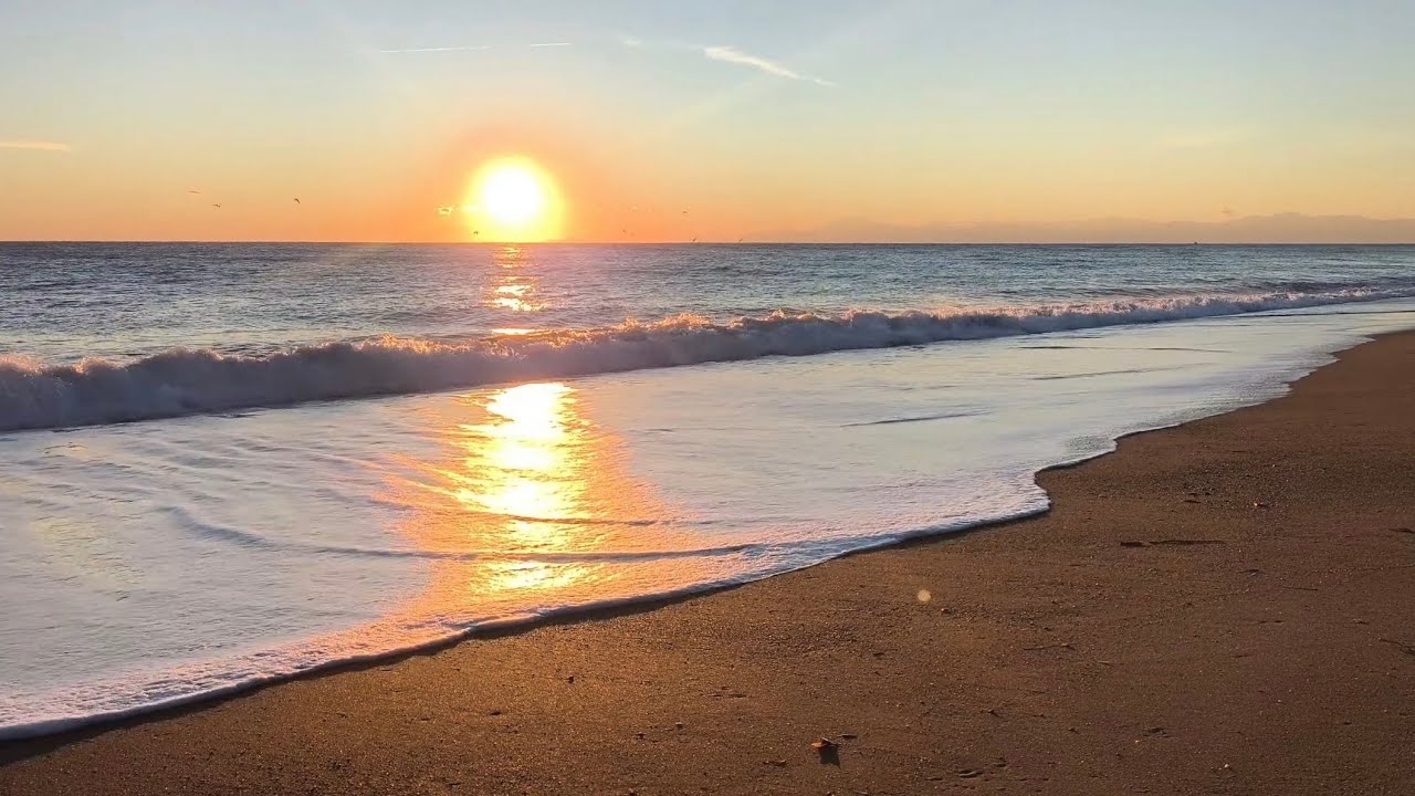 Fall Asleep to a Real Beach Sunset 🌅 Natural Ocean Waves (No Loop, No Music)