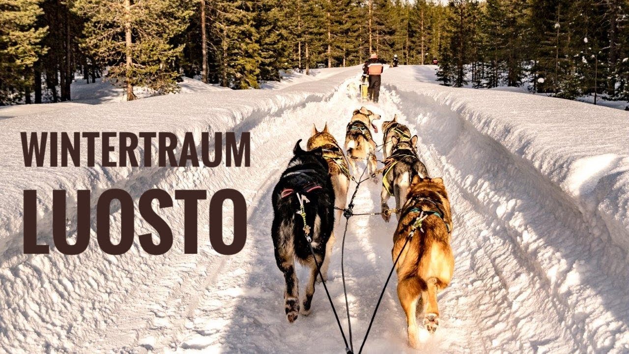 Wintertraum Luosto