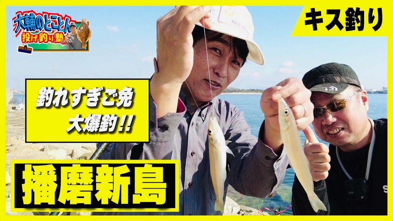 いま明石がエライことに‼  クーラー満タン・20㌢級落ちギス大爆釣中‼　R7.12.7  兵庫県播磨町/播磨新島【大輔のとことん投げ釣り塾】