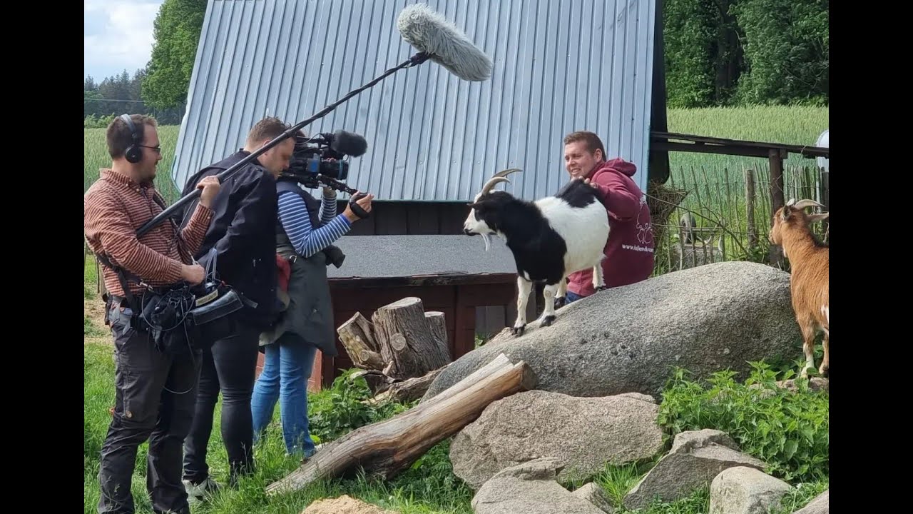 Tiergestützte Therapie - DAS!-Bericht im NDR Fernsehen vom 2. Juni 2022