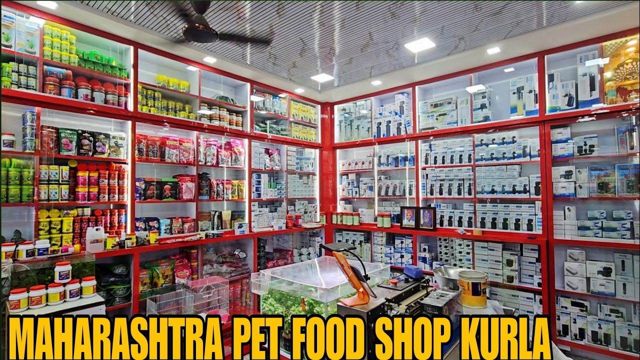 Biggest Aquarium Accessories Shop In Kurla Fish Market | Wholesale and Retail | Maharashtra Pet Food