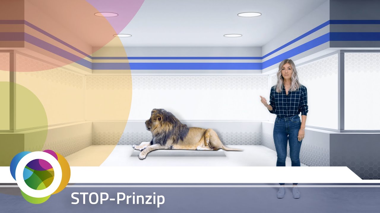 eTraining: STOP-Prinzip