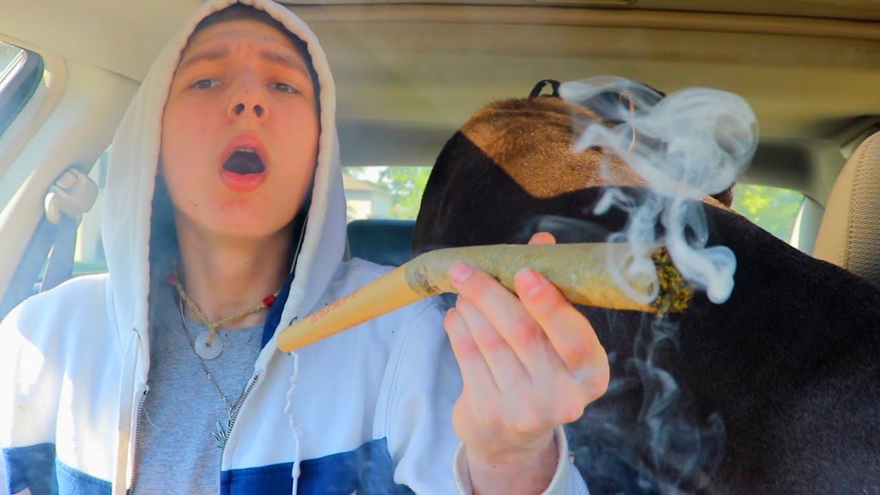 Nate420 - WANNA GET HIGH (Official Music Video) Prod. By Nate420