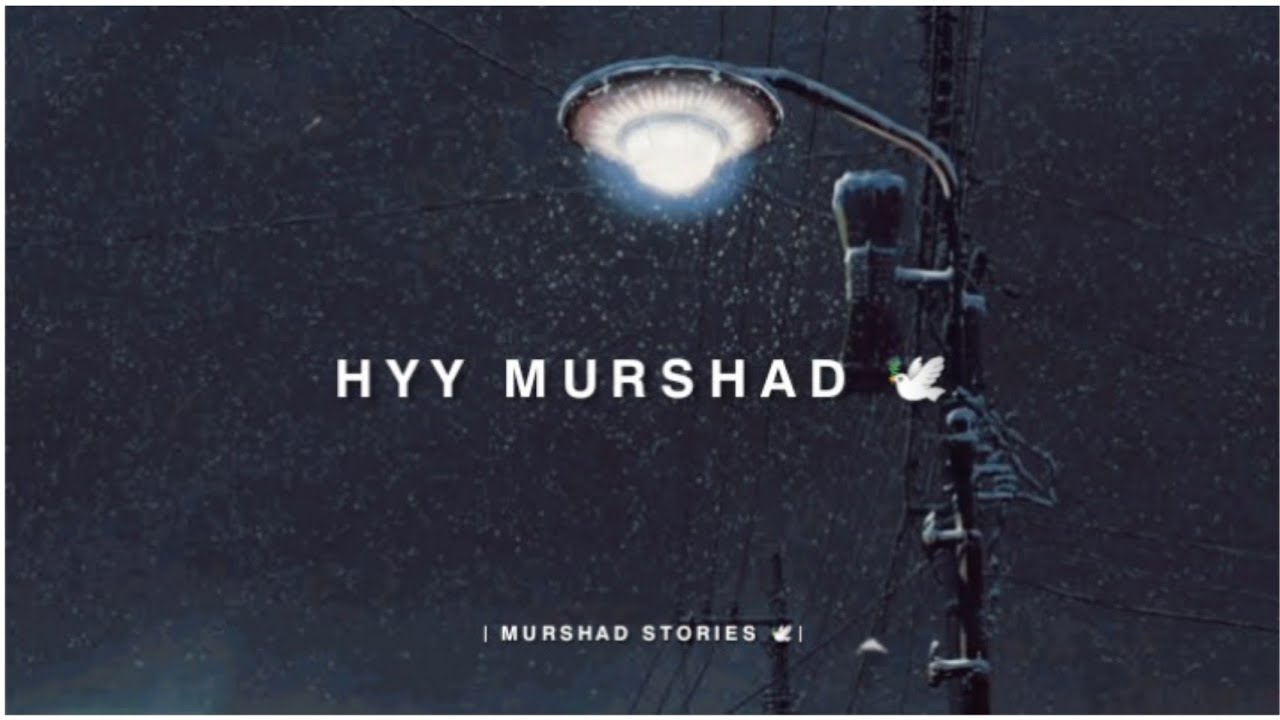 Murshad sad dialogue status 😌💔🥀 | sad status | best status | Murshad stories |
