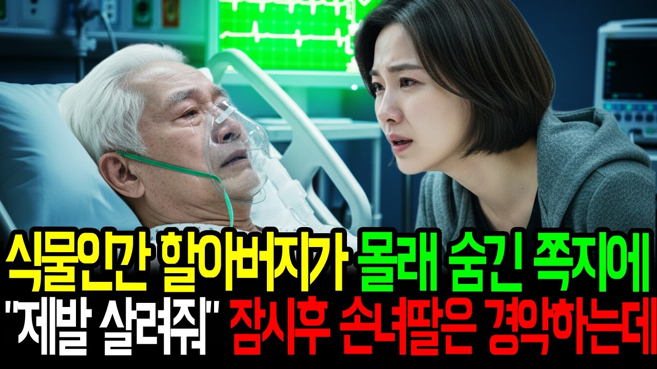 식물인간 할아버지가 몰래 숨긴 쪽지에 