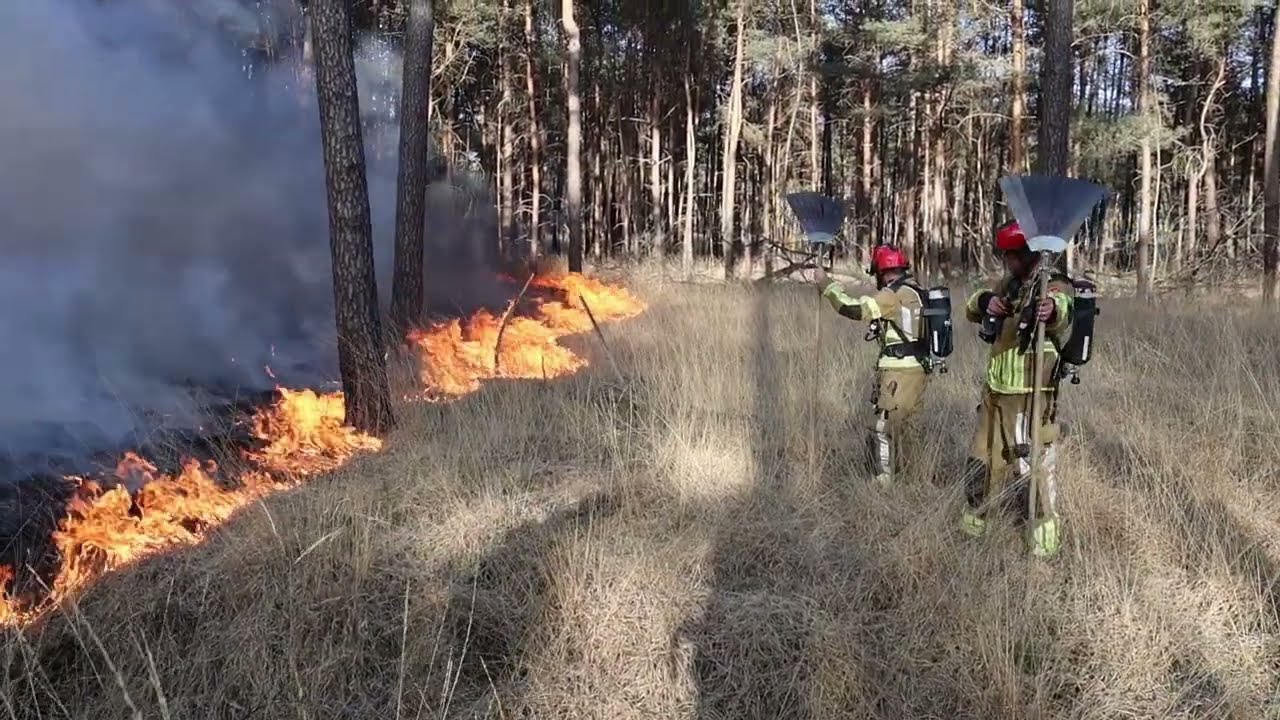Enorme brandweerinzet vanwege grote natuurbrand Loonse en Drunense Duinen - Drunen 12 04 2025