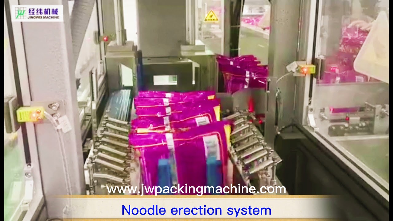 Automatic pillow bag product cartoning machine