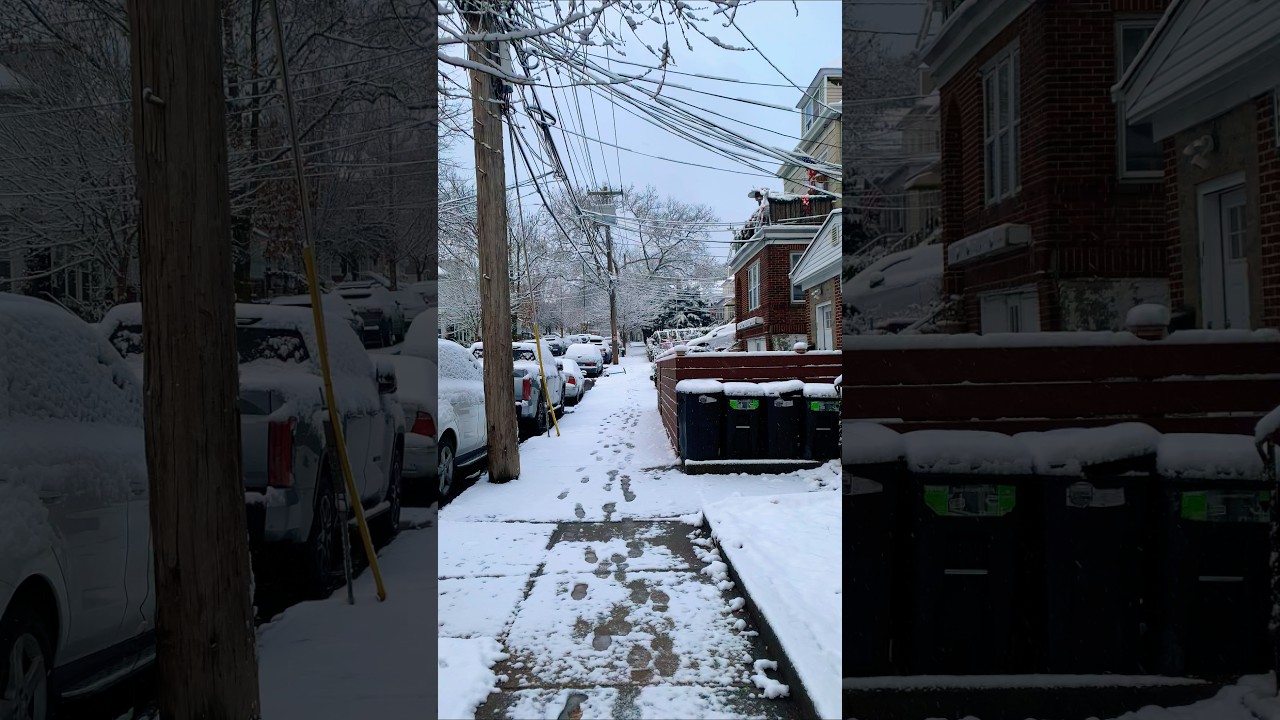 Snowfall in New York City 4K ❄️☃️ #newyorkcity #snow #christmas