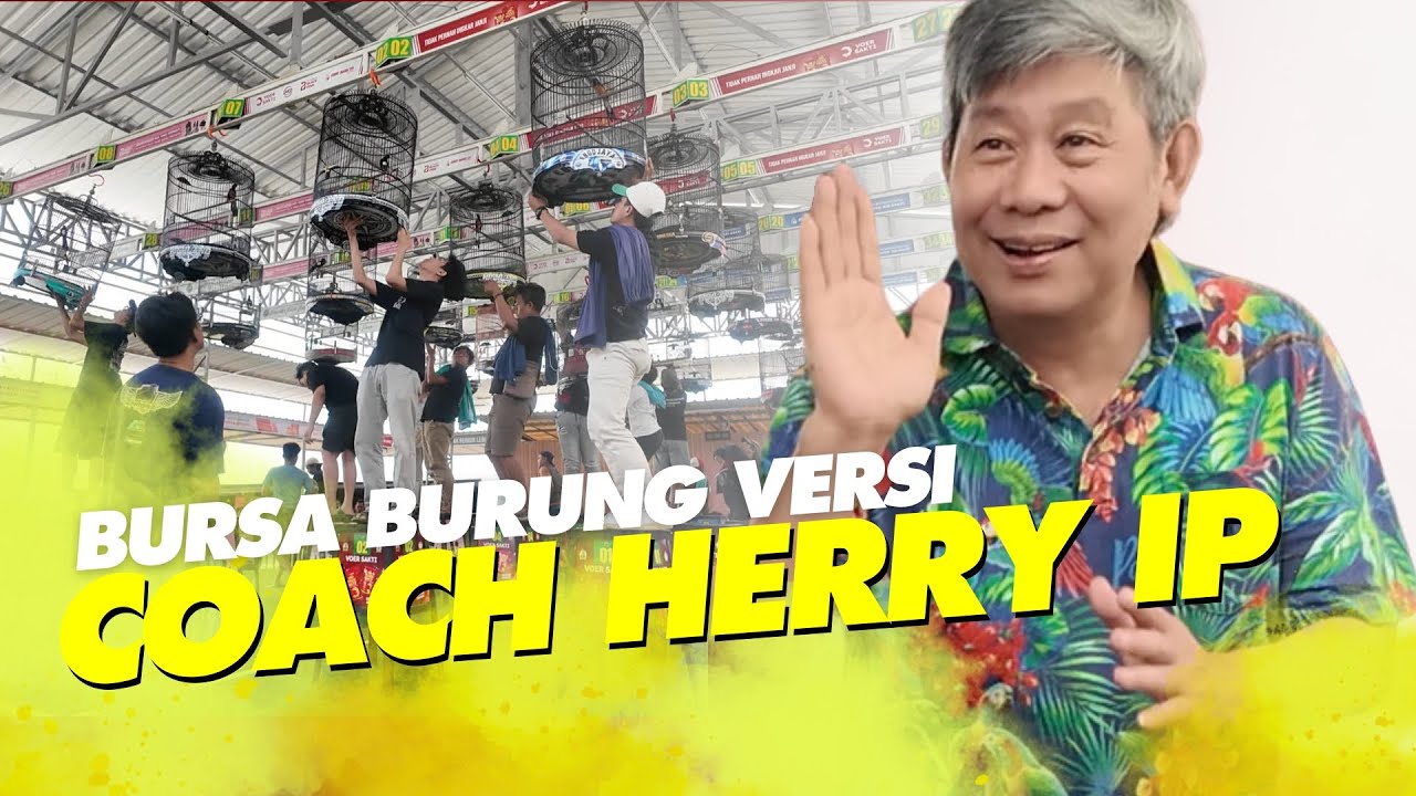 COACH NAGA API ✅Herry IP Blak-blakan Soal BURSA LOMBA BURUNG BERKICAU #kicaumania
