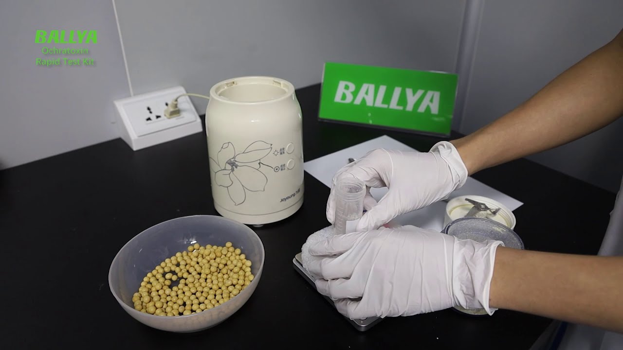 Ochratoxin Test - Detection of Ochratoxin in Soy - BALLYA