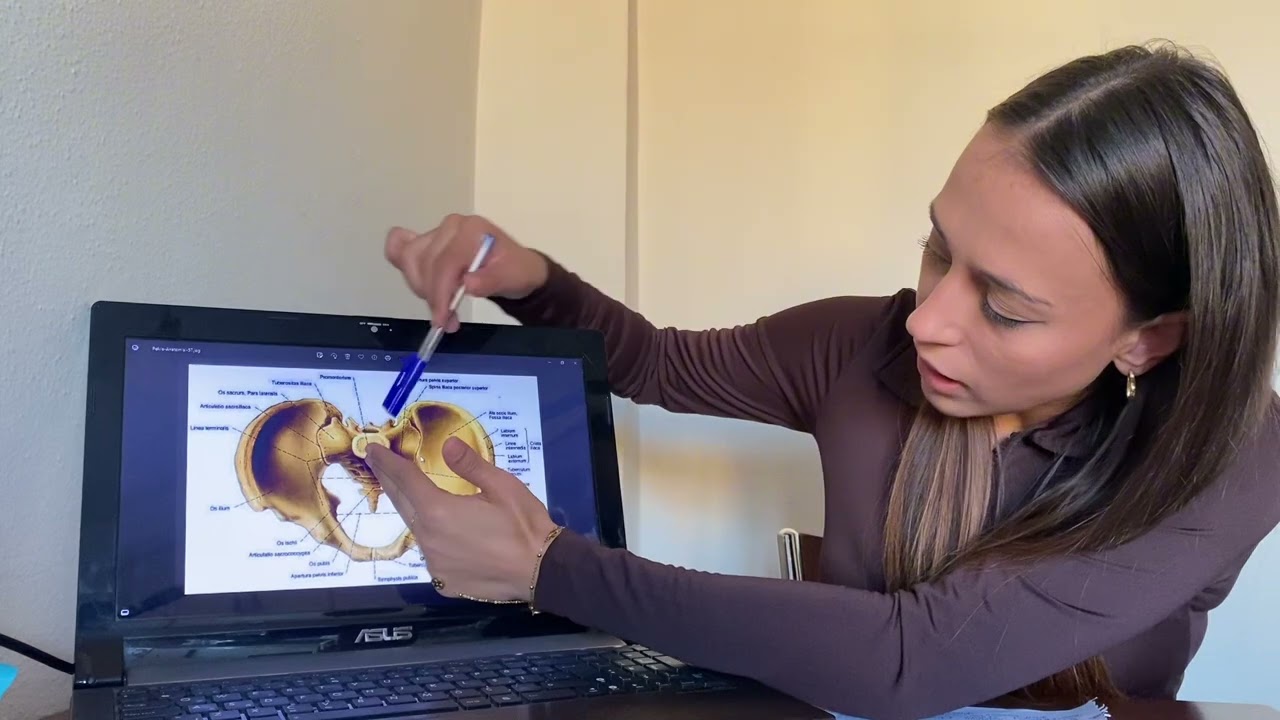 Pelvis kemikleri ve çapları/fetüs başı kemikleri ve çapları