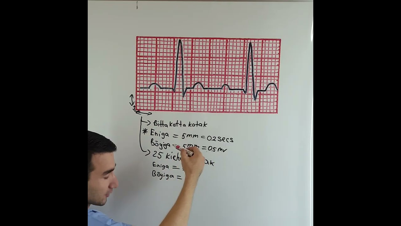 EKG darslari. Asos bilimlar. Yakuniy qism