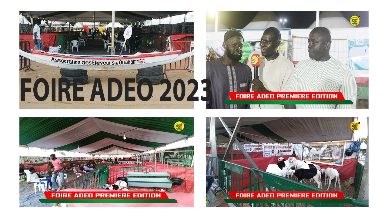 FOIRE ADEO 2023 / LES ELEVEURS DE OUAKAM REGROUPES AU SEIN DE L'ADEO ORGANISENT LEUR PREMIERE FOIRE