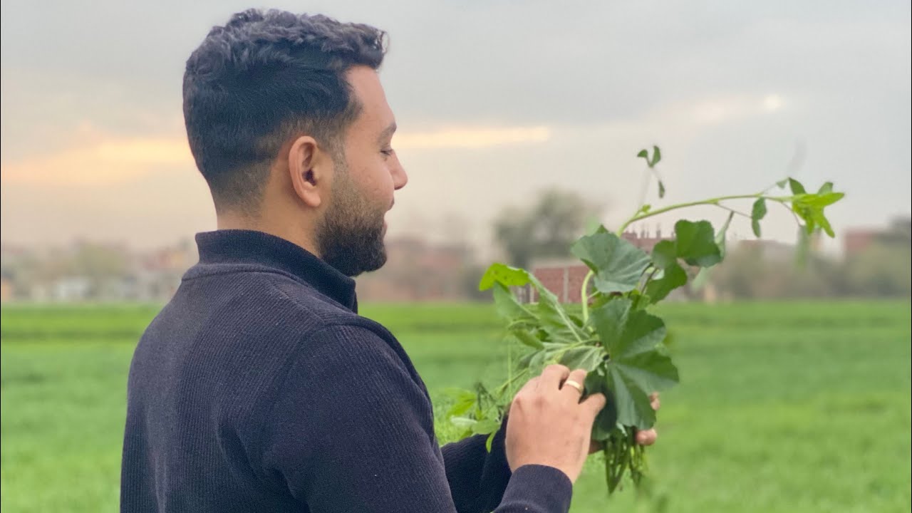 مقدمه  اسطوريه ♥️ عن  الكيميا العضويه 🧪 2026 الصف الثالث الثانوى 🫰 الفوهلر 👑