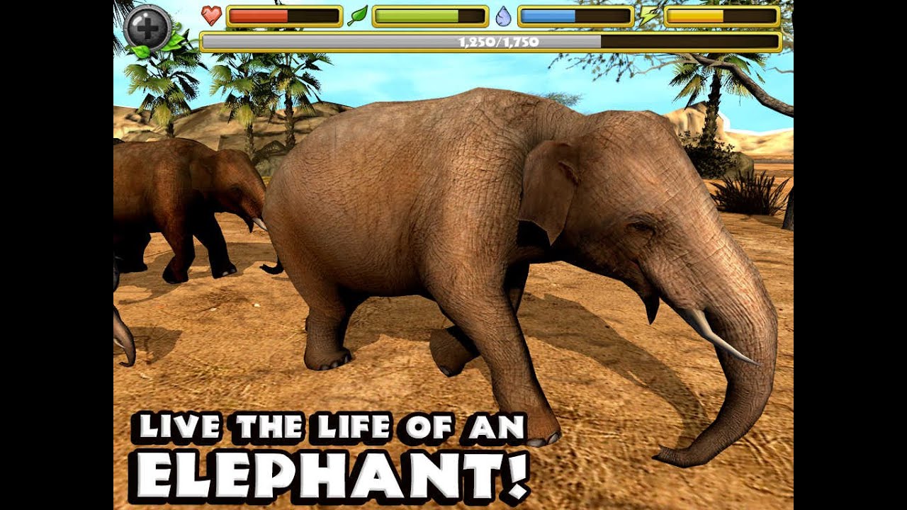 Elephant Simulator - Walkthrough - iPhone, iPad and iPod touch