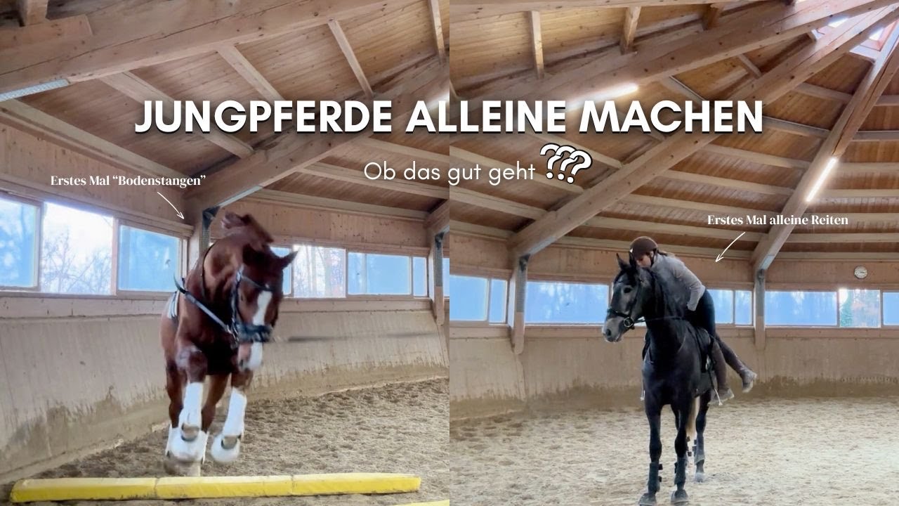 Ob das gut geht? - Jungpferde alleine machen