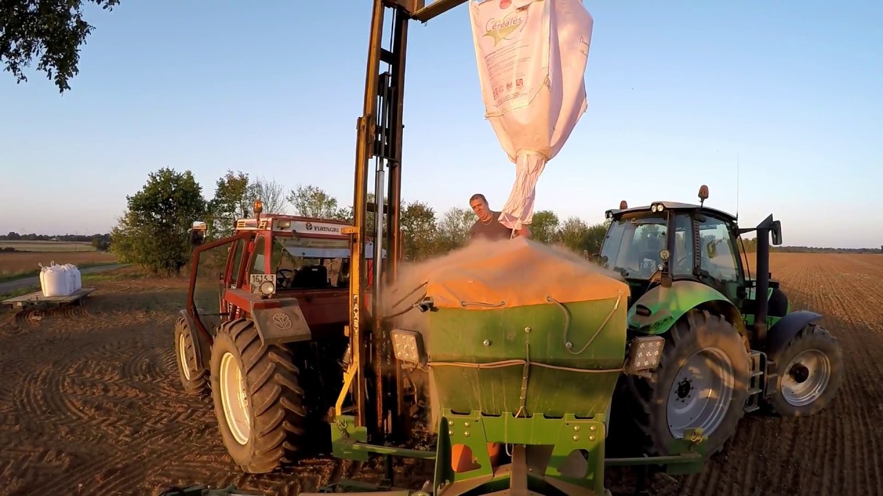 Semis de blé !