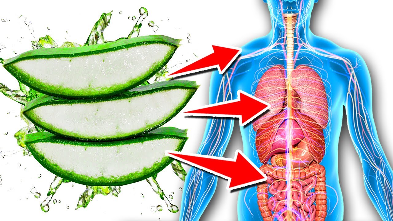 What Happens To Your Body When You Drink Raw Aloe-Vera Juice