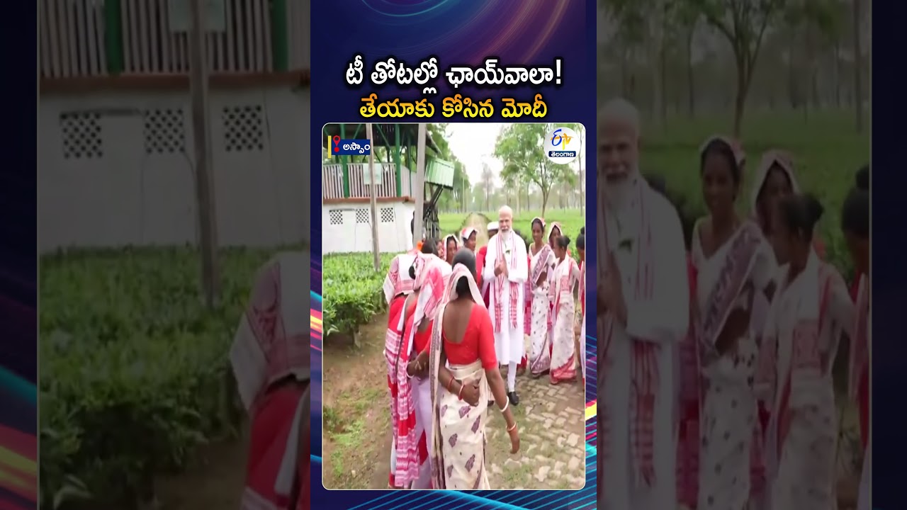 PM Modi In Assam Tea Gardens | Interacts With Women Workers In Dibrugarh